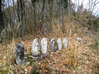 �Z�n�����̘Z�n��