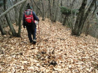 �͗t�𓥂�Ŕ�������