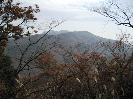 �召�R���]�i�ʐ^���j