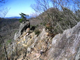 �n�̔w�ɂȂ������