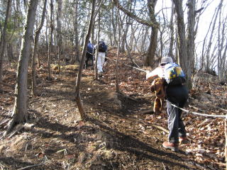 ���[�v�̒���ꂽ�o�R�H�̏��