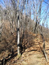 ���q������̓o��