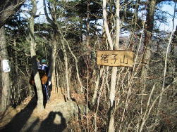 �T�P�P���s�[�N