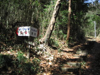 �j��E���╪��