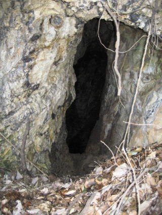 �}���K���z�R�A�ޗ��̂悤�Ɍ��������Ă���