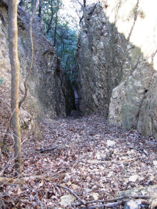 �g���b�R���ʂ����Ƃ����؂�ʂ�