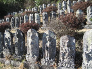 ����S�ω�