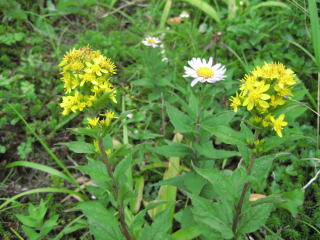 �A�L�m�L�����\�E