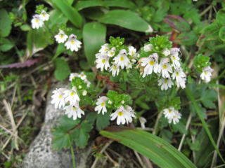 ���撲�ג��ł�����