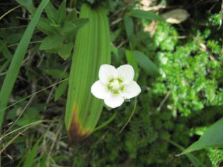 �E���o�`�\�E�H