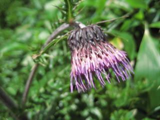 �t�W�A�U�~