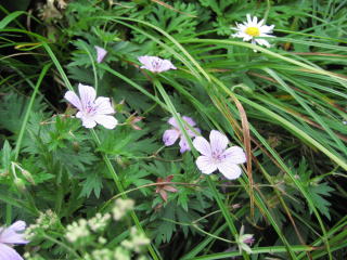 �A�T�}�t�E��