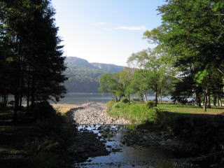 �ۏ��ɒ�������