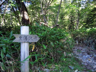 �o�R���̕W��