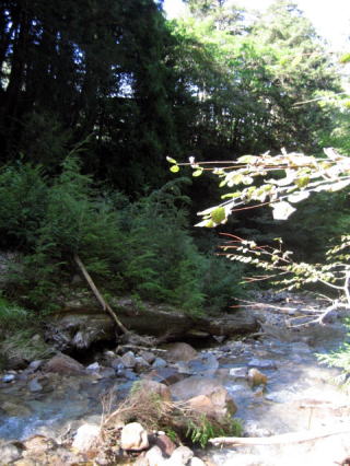 �I���I�\���V��̐���