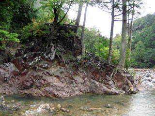 ��ɂ����������̂悤�Ȋ�