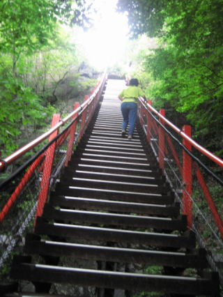 �����猩�グ���u�����������v