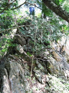 ���[�v�ݒu